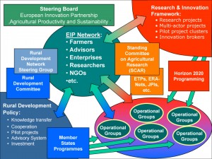 EIPs: Una oportunidad de oro para la innovación en agricultura sostenible