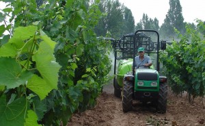 El cambio de concepto de la agricultura: de bien privado a público