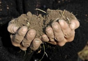 Agricultor activo, derechos de pago único, años de referencia… las dudas de la PAC