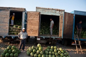 España invierte en seguros agrarios los mismo que toda Latinoamérica