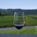 Copa de vino